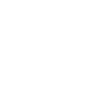 Habanim | The Project Logo